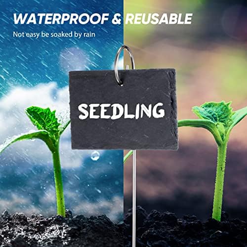 Leifide 24 Sets Plant Labels, Reusable Slate Plant Markers Natural Weatherproof Garden Signs Waterproof Hanging Slate Planter Tags with Metal Stakes and Stone Chalks for Vegetable Flower Pot - Image 4