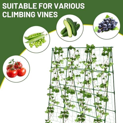 Large A-Frame Garden Trellis for Tomatoes, Cucumbers & Heavy Climbing Plants - Rust-Resistant, Heavy-Duty Steel, Perfect for Outdoor Gardens & Vertical Gardening(47" W x 63" H) - Image 4