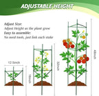 6 Pack Tomato Cage for Garden & Pots, Rust-Resistant Metal Plant Support - Image 3