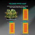 MARS HYDRO 300W TSL2000 Led Grow Lights for Indoor Plants - Image 3
