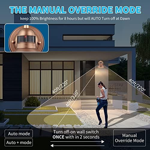 Motion Sensor Outdoor LED Barn Light Dusk to Dawn Exterior Wall Lantern - Image 3