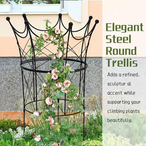 BreezeHug 2 Set Garden Obelisk Trellis Peony Cages and Supports, Crown - Image 5