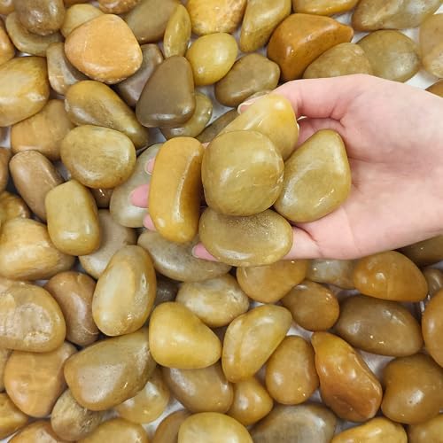 FANTIAN 20 lbs Yellow River Rocks for Landscaping, 1-2 Inch Polished Pebbles for Indoor Plants, Decorative Rocks Stones for Plants, Vases, Aquariums, Fountains, Pathways, Backyard and Garden by FANTIAN-GardeningMakesLifeBetter