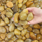 FANTIAN 10 lbs Yellow River Rocks, 1-2 Inch Polished Pebbles for Indoor Plants, Decorative Rocks Stones for Landscaping, Vases, Aquariums, Fountains, Pathways, Backyard and Garden by FANTIAN-GardeningMakesLifeBetter