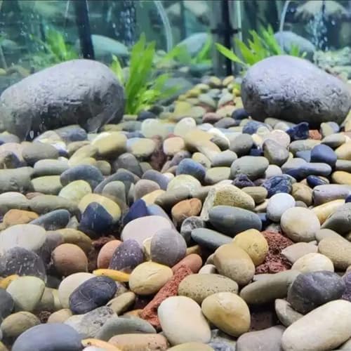 40lbs River Rocks for Landscaping, 1-2 Inch Mixed Colors Pebbles - Image 4
