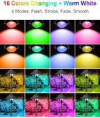ZUCKEO RGB Color Changing Landscape Lights Low Voltage Pathway Lights 12V 24V Multi-Color LED Landscape Light Kit Waterproof for Yard Garden Path Christmas Decoration(12Pack) - Image 3