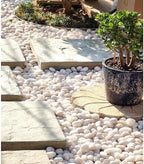 FANTIAN 20 lbs White River Rocks, 1-2 Inch Polished Pebbles for Indoor Plants, Decorative White Stones for Plants, Vase, Aquarium, Fish Tank, Landscaping and Garden - Image 4