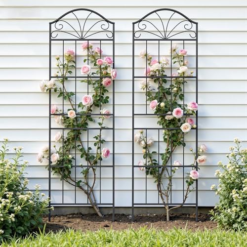 VOXOR Metal Trellis for Climbing Plants Outdoor, 70 * 19.7 Inch Tall Garden Trellis with Black Rustproof Coating, Decorative Rose Trellis for Climbing Roses, Vines, and Flowers, 2 Pack - Image 3