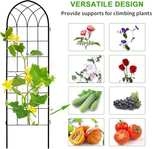 LZRS 71 x 80in Rustic Iron Arch Decoration Garden Trellis with Black Metal Coating – Perfect for Supporting Climbing Plants Outdoor, Roses, Vines, Flowers, and Vegetables. - Image 5