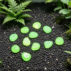 300pcs Luminous Garden Stones Resin Glow in Dark Pebbles - Image 5