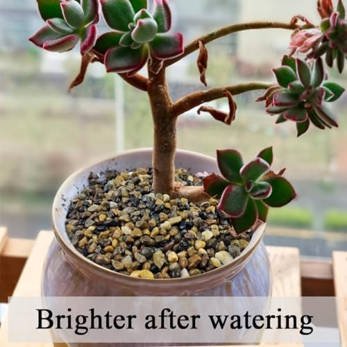 FANTIAN 20 lbs Natural Fish Tank Gravel,1/4 Inch Pea Gravel. Mixed Color River Rocks for Aquarium, Succulent, Vase, Cactus Bonsai, Plant Soil Cover and Outdoor Landscaping Rocks - Image 5
