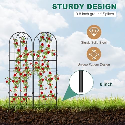 4 Pack Metal Garden Trellis for Climbing Plants, Black - Image 3