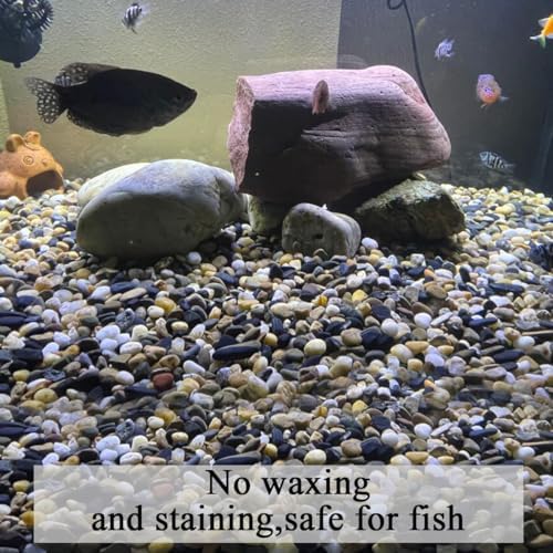 FANTIAN 10 lbs Pea Gravel for Landscaping, 2/5 Inch Size Mixed Color River Rocks for Aquarium, Succulent, Vase Fillers, Cactus Bonsai, Plant Soil Cover and Outdoor Garden Rocks. - Image 5