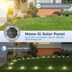 Peasur Mini Solar Ground Lights, 12 Pack Flat Solar Disc Lights Outdoor Waterproof, 2.3 Inch Small Solar Garden Lights Landscape Lighting for Outside Pathway Garden Yard Lawn Walkway,Cool White - Image 4