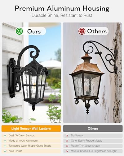 VIANIS Black 2-Pack Outdoor Porch Lights, Dusk to Dawn Outdoor Lighting - Image 4