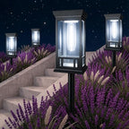 LORRYTE Solar Pathway Lights Outdoor Waterproof, 10 Pack Path Lights by LORRYTE