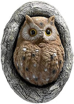 Novelty Owl Tree Hugger Decor Garden Peeker Yard Art Tree Faces Outdoor Owl Tree Sculpture Polyresin Animal Tree Accessories Gift (Large) by Duiaynke