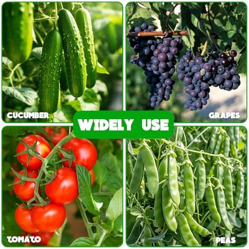 No Assembly Required Cucumber Trellis,2 Pack Trellis for Cucumbers,Outdoor Raised Bed Climbing Plant Support,A-Frame Garden Frame,Used for Vegetables,peas,Tomatoes,Squash,Melon and Fruit Frame - Image 7