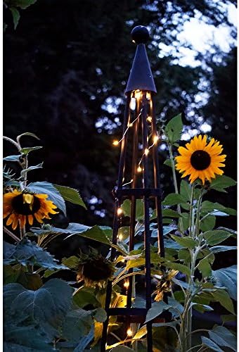 Achla Designs OBL-02, 85-in Wrought Iron Garden Obelisk Trellis, H, Graphite - Image 3