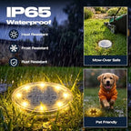 vighep 24 Pack Solar Ground Lights, 2.8 inch Flat Solar Light Outdoor Waterproof, Anti Rust, Low Profile Led Solar Powered Disc Lights Landscape Lighting for Yard,Walkway,Lawn,Path - Warm White - Image 2