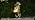 Solar Labrador Retriever Garden Statue, 16.7-Inch Dog Decor with Lantern - Image 7