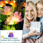 Solar Garden Lights Outdoor, LED Glowing Flower & Stem (4 Pack) - Image 6