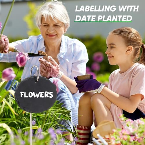 Colingmill 12 Sets Plant Labels Slate Plant Tags Garden Sign Marker Weatherproof Reusable Natural Slate Garden Sign Hanging Tag with Metal Stake and Pen for Outdoor Flower Vegetable(Oval) - Image 5