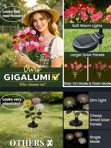 GIGALUMI 6 Pack Solar 42 Chrysanthemum Flowers Outdoor, 2 Modes Multi-Color - Image 2