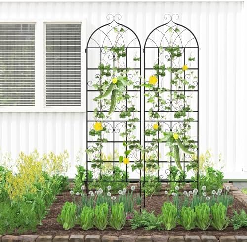 Giantex 2 Packs 71"x20" Metal Garden Trellis for Outdoor Climbing Plants, Heavy-Duty Plant Support for Vine Rose Vegetable Flower, Rustproof Black Metal Coating Patio Trellis Arch Decorative Fence - Image 4