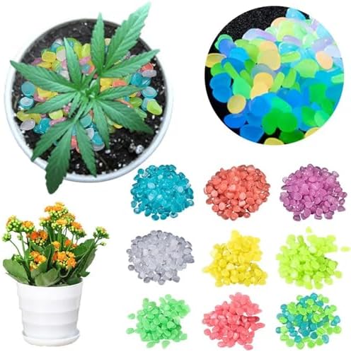 Glow in The Dark Pebbles 200 Pcs Glow in The Dark Garden Pebbles Stones Rocks for Yard and Walkways Decor Fairy DIY Decorative Luminous(Blue) - Image 2