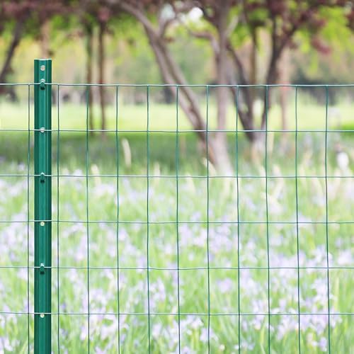 Green PVC Coated Welded Wire Fence 36" x 50' Roll, 2"x3" Mesh, 16 Gauge - Image 2