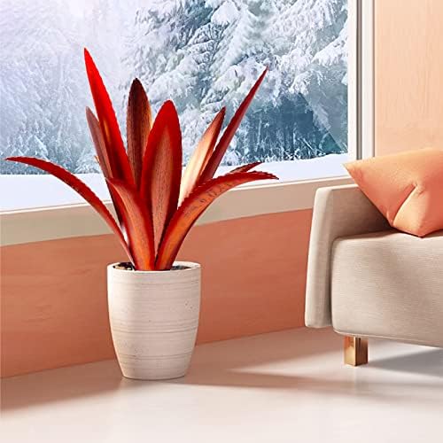 TOMBABY Enlarge Thickened Wind Resistant Metal Agave Garden Art Metal Plant Country Garden Sculpture Statue Outdoor Decoration Agave Metal Plant Courtyard Garden Lawn Ornament Gift (1, 12 Leaves red) - Image 4