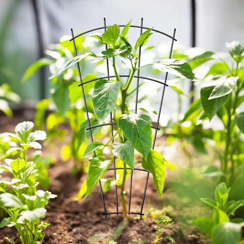 Thealyn 32" Metal Plant Trellis, Climbing Plant Support, 4 Pack Black - Image 6