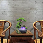 Rockery Stream Tabletop Fountain, Zen Meditation Indoor Waterfall Feature with Automatic Pump and Switch, Desktop Fountain for Home Office Bedroom Decoration(US regulations Include Fog) - Image 5