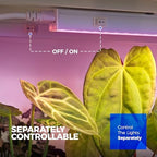 Barrina T5 Grow Lights for Indoor Growth, 4FT Plant Lights, Pink, 8 Packs - Image 5