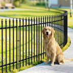 Thealyn 32" H x 24" W Metal Garden Fence with Gate, Animal Barrier, 10 Ft by ThealynGardens