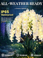 GIGALUMI 3 Pack Solar Wisteria Flowers Outdoor, 2 Modes, White - Image 3