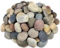 FANTIAN 40 lbs Garden Rocks Mexican Beach Pebbles, 3-4 Inch Decorative Large River Rocks for Landscaping Aquarium Yard Garden Paving Large Plant Crafting and Walkways by FANTIAN-GardeningMakesLifeBetter