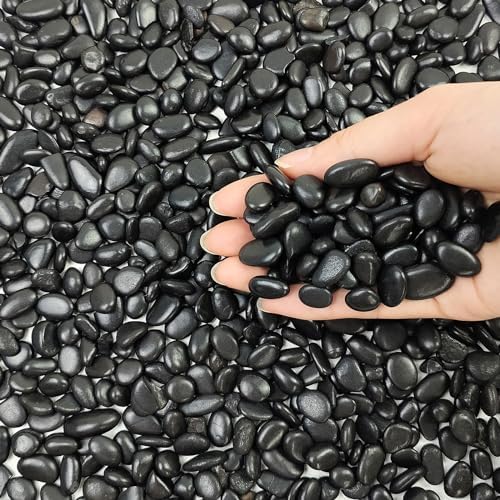 FANTIAN 10 lbs Small Black Pebbles for Indoor Plants. 3/8 inch Decorative Black River Rocks for Succulent Potted Plant, Vase, Landscaping and Outdoor Garden Rocks by FANTIAN-GardeningMakesLifeBetter