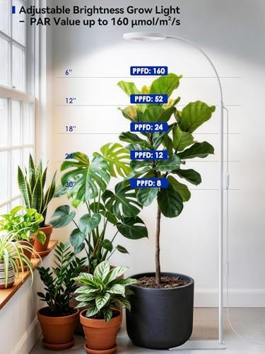 Grow Lights for Indoor Plants, Full Spectrum LED Plant Light with Stand - Image 3