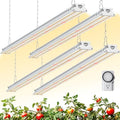 Barrina TX-S60 4FT Grow Light, 240W(4 x 60W, 1680W Equivalent), Timer by Barrina