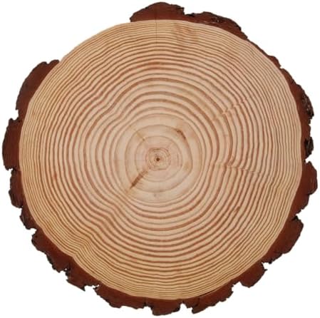 Garden Wooden Stepping Stones Outdoor 10.62X10.62X0.74In Wood Step for Backyard Decor Pathway Landscaping Decorative Garden Ornaments by FUNOMOCYA