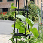 Achla Designs OBL-01, 61-in Wrought Iron Garden Obelisk Trellis, H, Graphite - Image 4