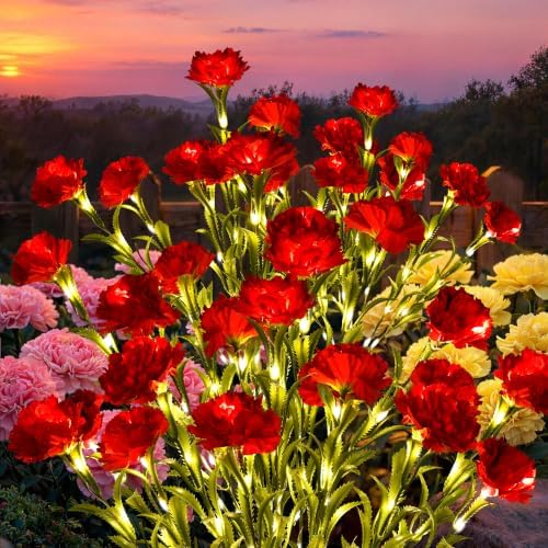 GIGALUMI 4 Pack Solar 28 Carnations Flowers Outdoor, 2 Modes, Red by GIGALUMI