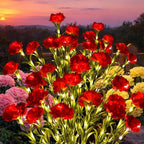 GIGALUMI 4 Pack Solar 28 Carnations Flowers Outdoor, 2 Modes, Red by GIGALUMI