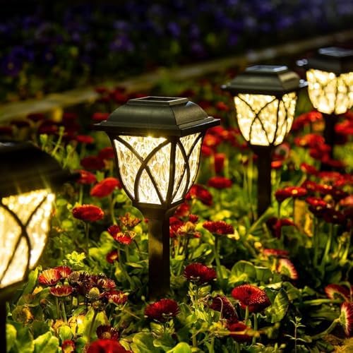 6 Pack Solar Lights (Solar Lights Outdoor Garden Warm White) by Unknown