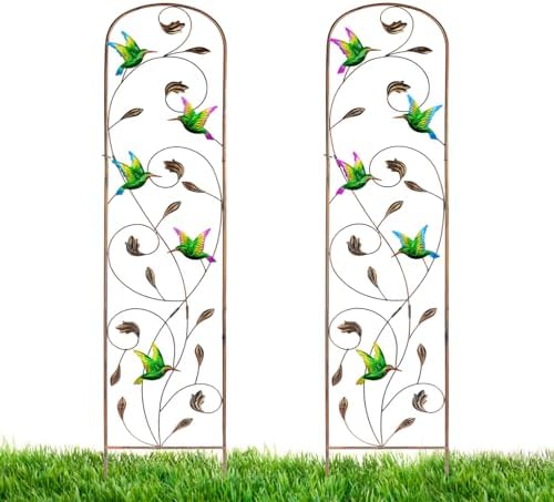 2 Pack Metal Garden Trellis for Climbing Plants by BAYN