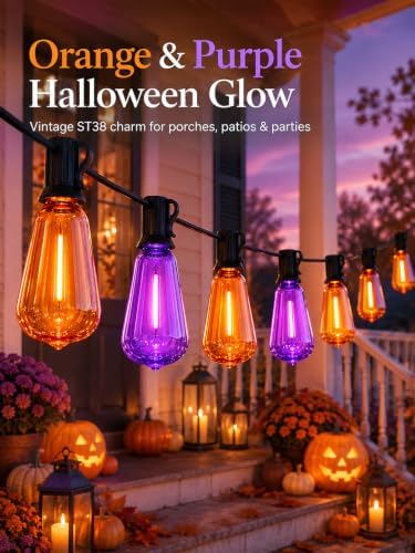 25Ft ST38 Halloween Outdoor String Lights with 27 LED Orange Purple Bulbs - Image 6
