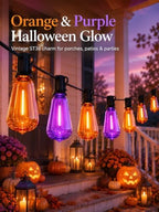 25Ft ST38 Halloween Outdoor String Lights with 27 LED Orange Purple Bulbs - Image 6
