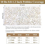 FANTIAN 20 lbs White Pebbles for Indoor Plants, 0.8-1.2 inch Small River Rocks for Plants. Decorative White Stones for Planters Vase Fish Tank and Outdoor Garden Landscaping Rocks - Image 3